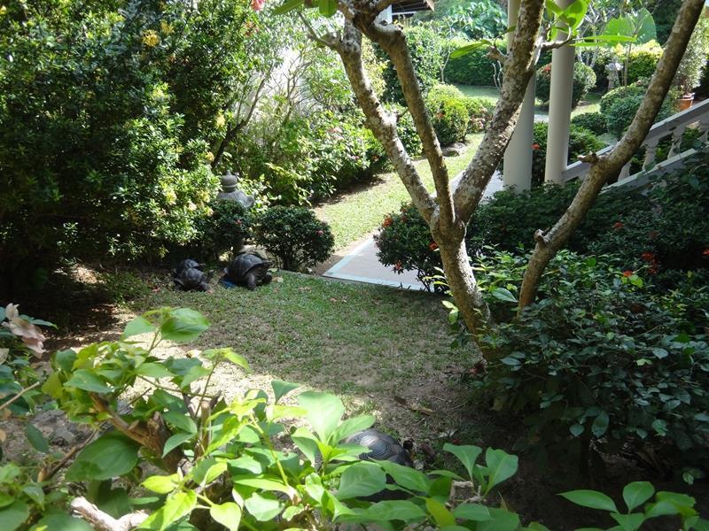 Holiday Village And Natural Garden Resort Phuket Екстериор снимка